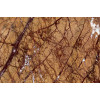Мрамор Rain Forest Golden